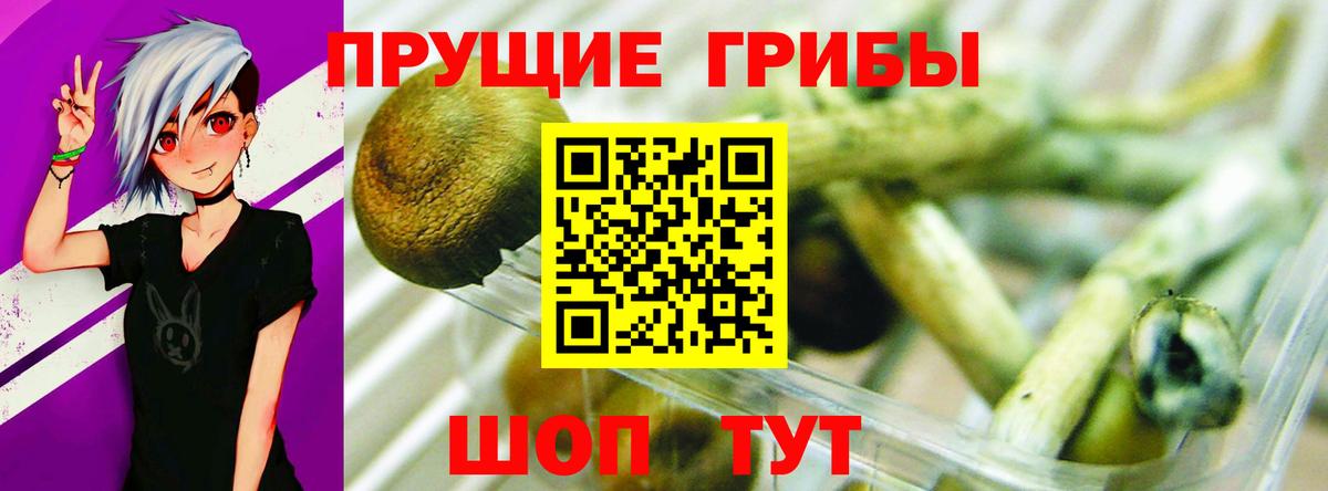 Джанкой  Галлюциногенные грибы мицелий  Галлюциногенные грибы ЛСД  Вход с VPN 