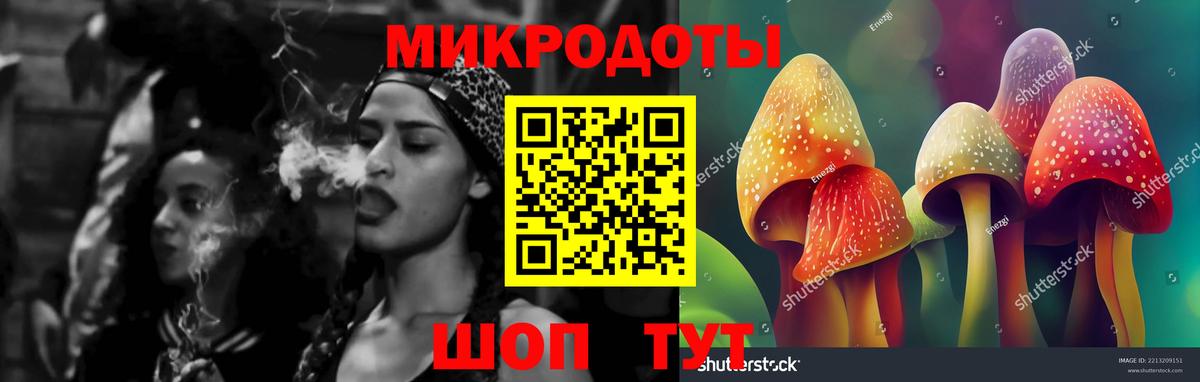 Галлюциногенные грибы Psilocybine cubensis Джанкой